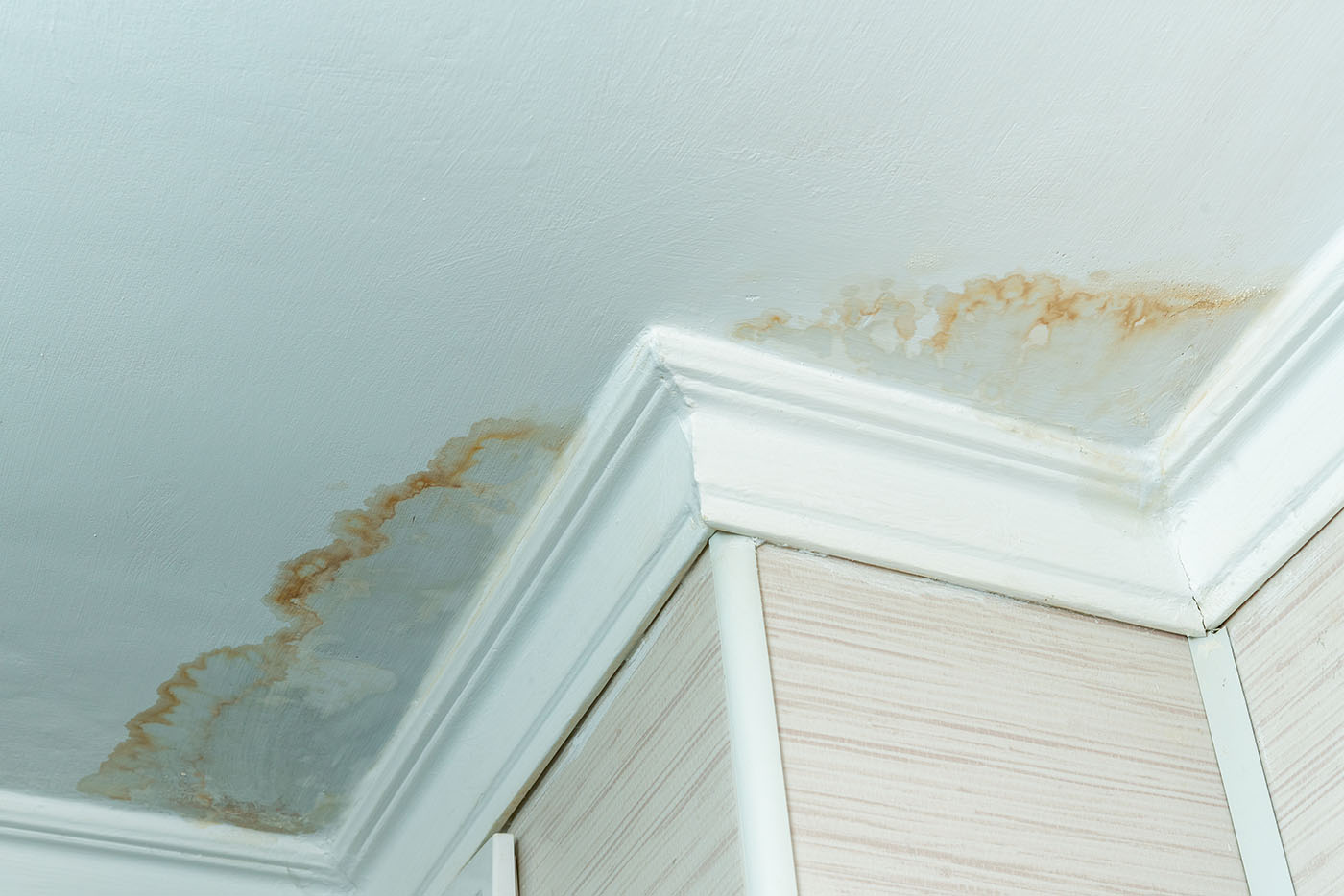 Leaky bathroom remodel