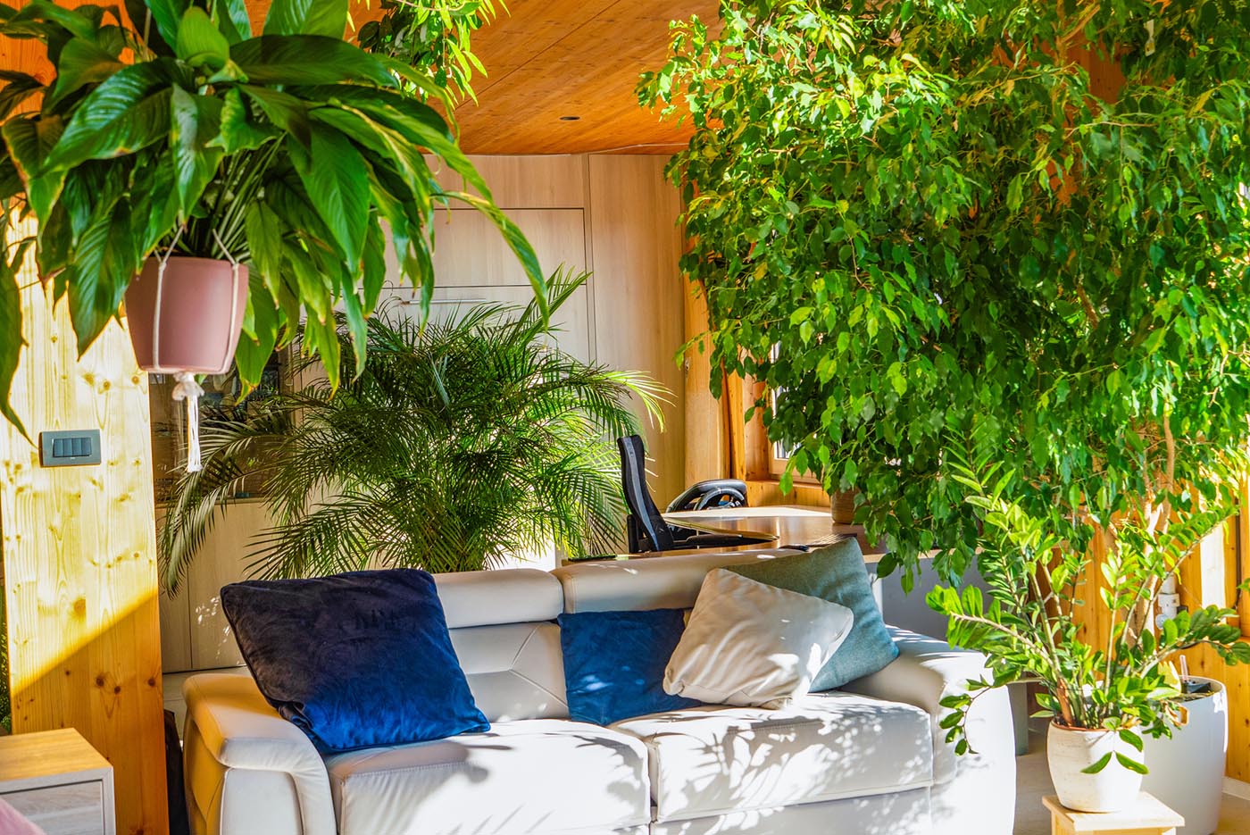 Wellness room for women